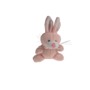 Bunny the Rabbit - Pretty in Pink!