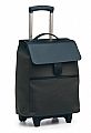 Executive. Leather and ballistic nylon combined trolley.