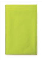 10Inch Ipad/Tablet Carry Case-Lime Green