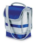 Cooler bag with compartment