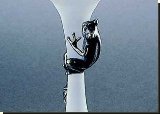 Reed Frog Martini Glass - 19CL - African Theme