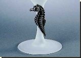 Seahorse Champagne Glass - 15CL - African Theme