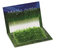 Greeting card containing grass seeds. Delivered in polybag with