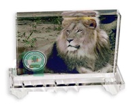 Crystal - Large Rectangle (90 X 130mm) With Stand