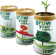 Grow your own flower-indigenous flower seeds in recycled contain