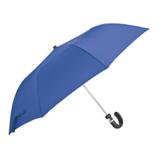 Auto-Open 2-Fold Umbrella with Sleeve - Black