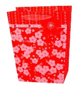 Set 6 Gift Bags - Floral Border Red Medium