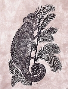Chameleon Heidi Lange Prints