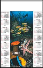 Jumbo Single Sheet Poster Calender - Fish