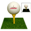 Flashing Golfball - Ever played night golf?