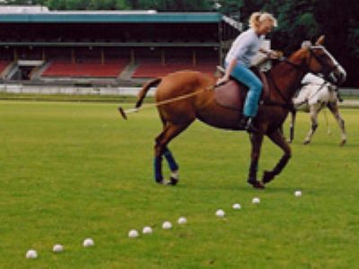 Polo Course Polo Course