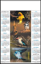 Jumbo Single Sheet Poster Calender - Birds
