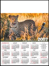 Single Sheet Mini Poster Calender - Leopard