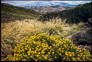 Naudesnek Pass, Elands Heights. S.A. on calendar