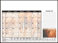 Soft Touch Desk Planner - Wildlife