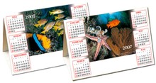 Desktop Calender -  Desk Triangle - Fish