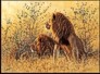 Lion on fine art  Calendar