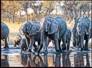 Herd of Elephant calendar on fine art calendar