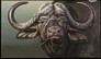 Buffalo on fine art  calendar