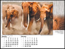Page layout with date pad and Elephant herd 