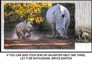 Rhino and calf with motivational quote