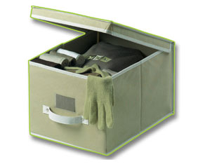 Storeeze Storage Case Beige 30x40x25cm